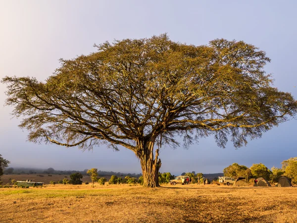 Campingplatz am kraterrand in tansania — Stockfoto