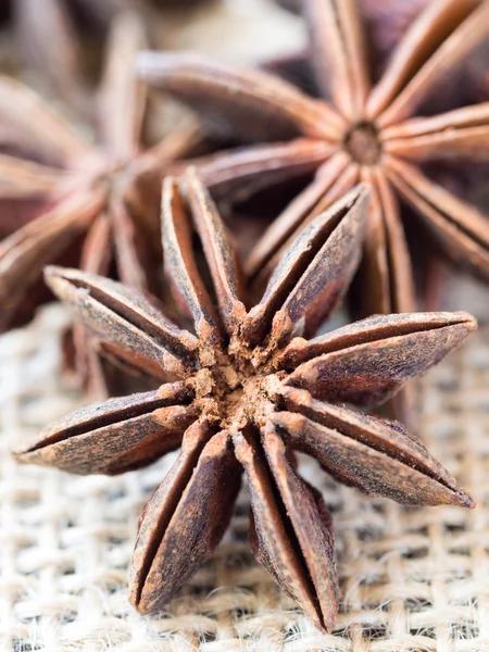 Star anise spices — Stock Photo, Image