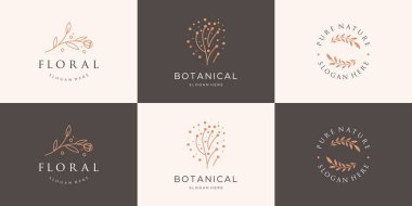 Koleksiyon minimalist çiçek ve yaprak logosu tasarımını ayarlayın..