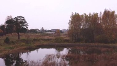 Bir tarla ve birkaç ağaç etrafında, küçük bir göletin üzerinde uçmak, sağda huş ağacı, solda çam ağacı, ağaçların arasında bir kamera uçar, yukarıdan bir dron ile çekim yapar.