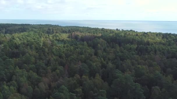 Filmación Panorámica Desde Dron Sobre Bosque Mar Distante Cielo Está — Vídeo de stock