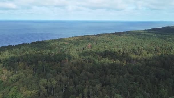 Pan Frame Γυρισμάτων Από Ένα Drone Πάνω Από Δάσος Στη — Αρχείο Βίντεο