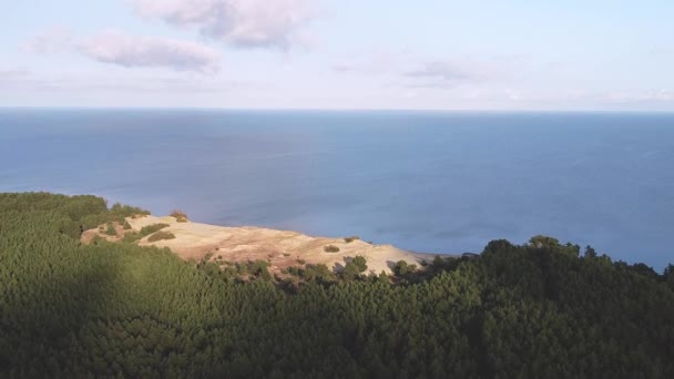 Disparando Desde Arriba Volando Sobre Bosque Hacia Una Fosa Arena — Vídeos de Stock