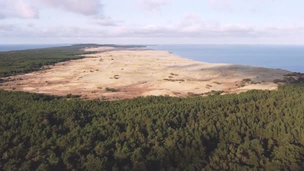 Schieten Van Boven Bosstrook Naar Zandbak Zee Aan Rechterkant Lucht — Stockvideo