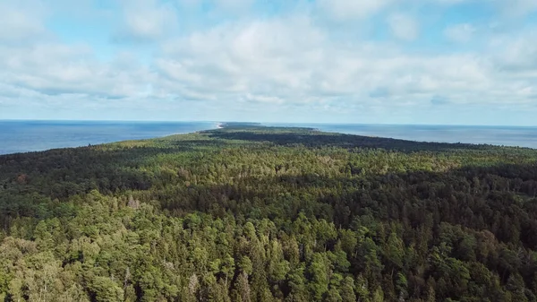 large forest, between the sea and the lake, forest zone, nature reserve, green trees, sky with clouds, blue, shadows from clouds fall on the forest, aerial view, drone