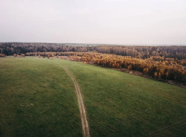 Autumn Green Field Dirt Road Cars Distance Golden Forest Drone — Stock Photo, Image