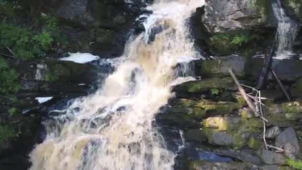 小さな滝 水が激しく岩の棚に沿って流れ 側面にある緑の苔 小さな緑の木と岩の山です — ストック動画