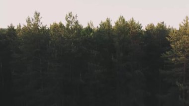 Ağaçlara yumuşak bir iniş, küçük bir kasaba, küçük beton evler, yeşil ağaçlar, gün batımı, drone, üst manzara