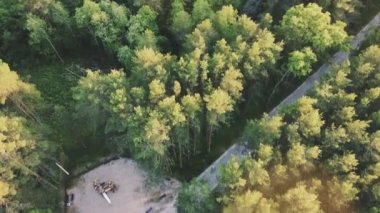 Parkta yumuşak bir uçuş, ağaçlar arasında beton yol, yeşil uzun ağaçlar, yeşil çimenler, küçük bir nehir.