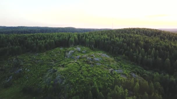 Плавний Політ Вперед Безпілотник Бік Зеленого Лісу Скелястої Гори Зеленими — стокове відео