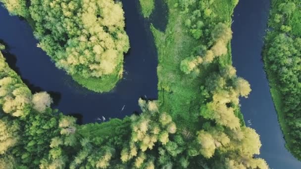 Voo Suave Drone Sobre Rio Lamacento Árvores Verdes Arbustos Grama — Vídeo de Stock