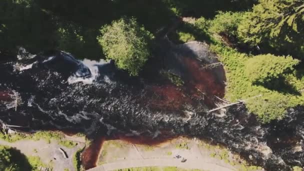 Płynny Lot Dronem Bok Nad Małą Brązową Rzeką Zielonymi Wysokimi — Wideo stockowe