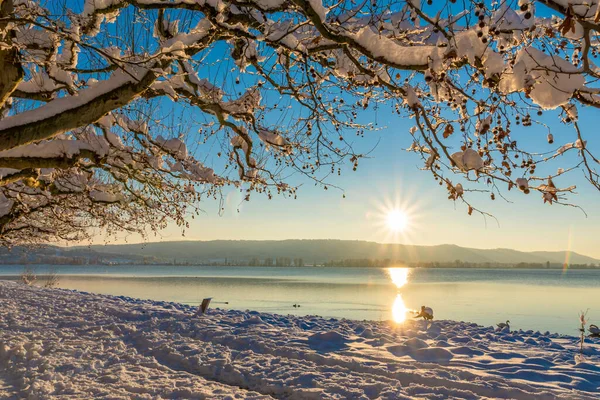 Winterurlaub Bodensee Mit Sonnenschein Und Blauem Himmel Und Viel Schnee Stockbild
