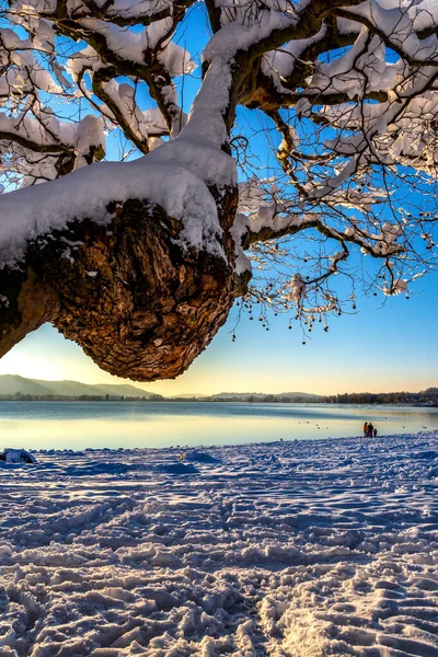 太陽と青い空と湖のコンスタンスで冬の休暇 — ストック写真