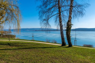 Radolfzell, Constance Gölü 'nün mavi göl kıyısında.