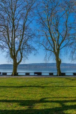 Mettnau Parkı ilkbaharda güneş ve mavi gökyüzüyle