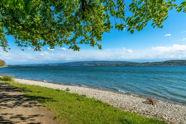 Radolfzell Bodenseeufer Sommer Mit Blick Auf Den See — Stockfoto