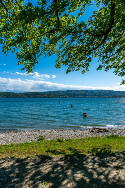 Radolfzell Bodenseeufer Sommer Mit Blick Auf Den See — Stockfoto