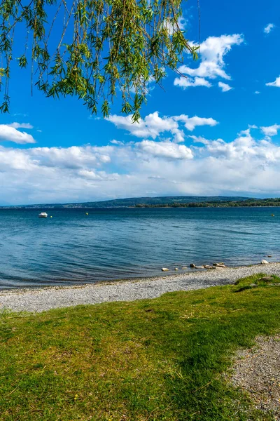 Vakantie Zomertijd Aan Het Prachtige Bodenmeer Met Bloemen — Stockfoto