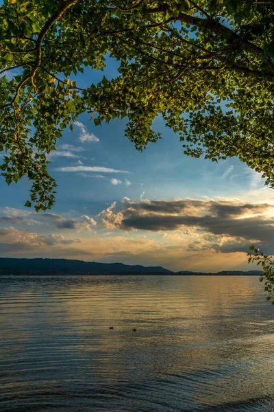 Summer Evening Lake Constance — Stock Photo, Image