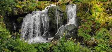 Triberg Şelaleleri Almanya yazı