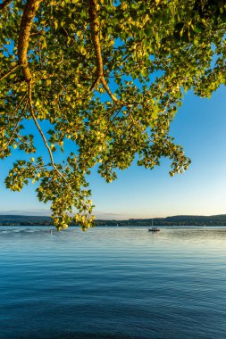 Akşam güneşinde güzel Constance Gölü 'nde yaz tatili.