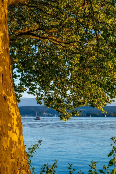 Vacaciones Otoño Hermoso Lago Constanza — Foto de Stock