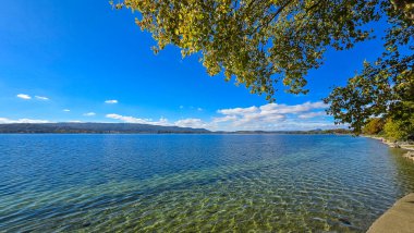 Radolfzell yakınlarındaki Constance Gölü 'nde güneşli bir sonbahar günü