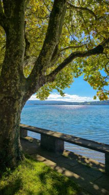Güneşli bir günde mavi gökyüzü ve yeşil ağaçlarla dolu sonbahar manzarası