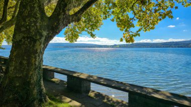 Güneşli bir günde mavi gökyüzü ve yeşil ağaçlarla dolu sonbahar manzarası