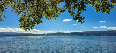 Güneşli bir günde mavi gökyüzü ve yeşil ağaçlarla dolu sonbahar manzarası