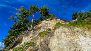 Chalk cliffs Island of Rgen Summer vacation Blue sky