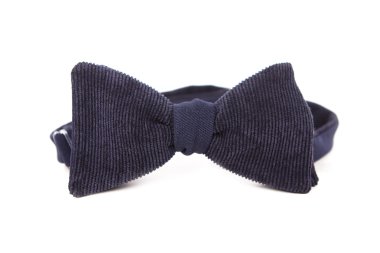 Mens papyon beyaz arka plan üzerinde izole