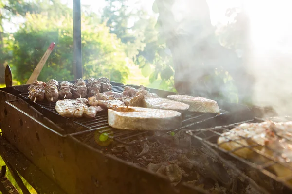 Barbecue grill avec divers types de viande, gros plan. — Photo