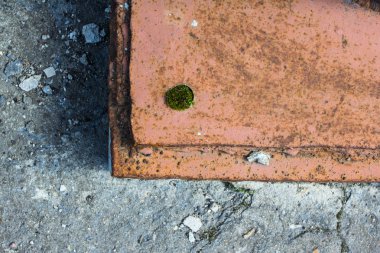 Kaldırımda moss çimlenme ile arka plan metal işi