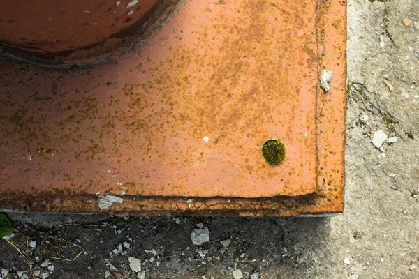 Kaldırımda moss çimlenme ile arka plan metal işi