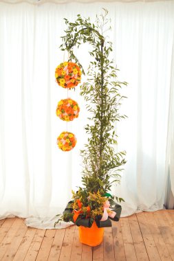 Kutlama için dekoratif süsler