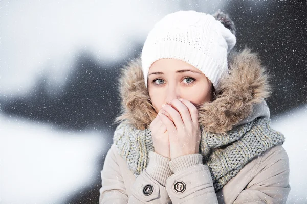 O frio estala nas ruas. A neve cai nas ruas. Retrato de um — Fotografia de Stock