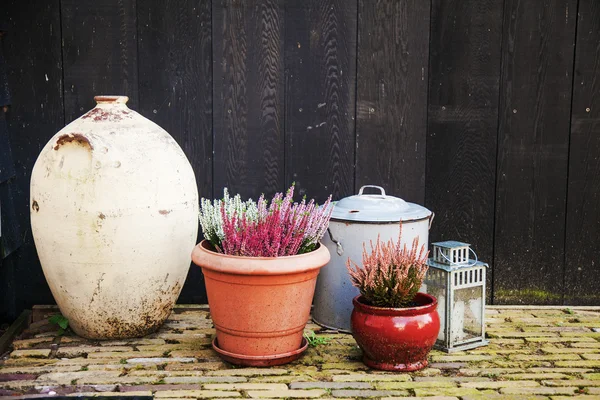 Vasos de vaso de composição com flores e lanterna em uma madeira escura — Fotografia de Stock