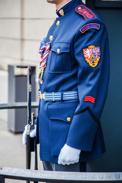 Soldato ceco in uniforme con una guardia alle armi — Foto Stock