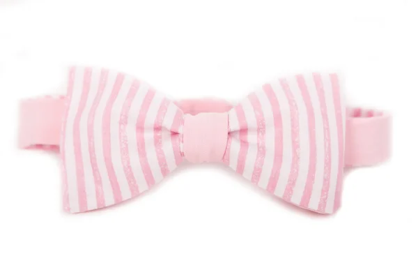 Fliege Accessoire für einen Gentleman. rosa und weiß gestreift — Stockfoto