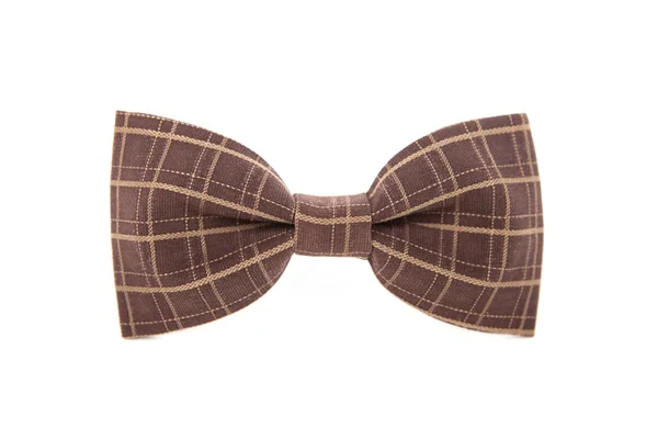 Brown striped mens bow tie isolated on white background. — Stock Photo, Image