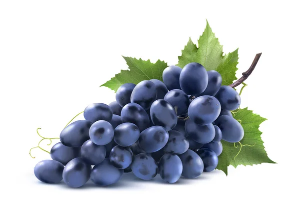 129,367 Grape bunch Stock Photos, Images | Download Grape bunch ...