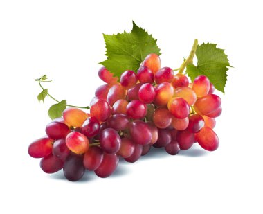 Red grapes long bunch and leaves isolated on white background