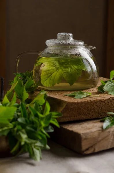 Wasserkocher mit einem großen Blatt Johannisbeeren — Stockfoto