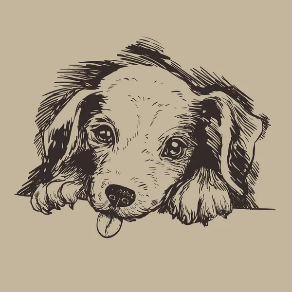 Sketch puppy — Stock Vector