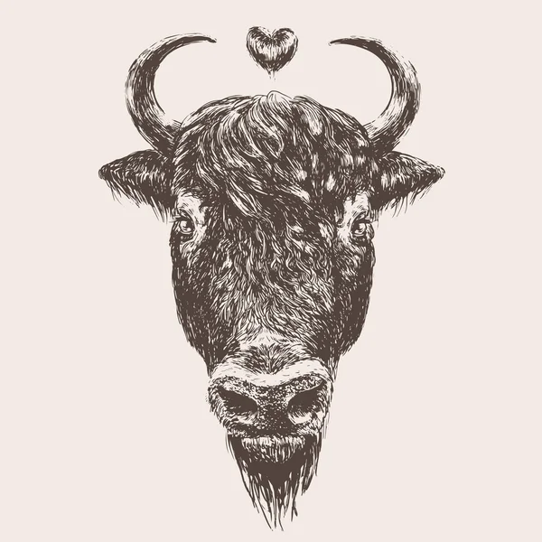 Bison — Image vectorielle