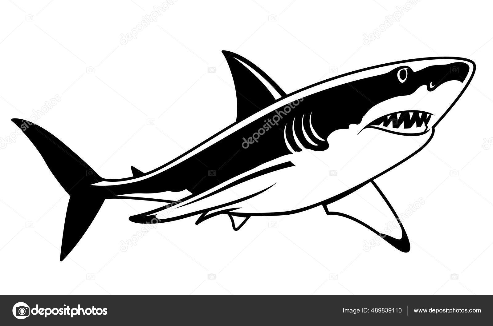Great White Shark Swimming Drawing Black Vector Shark Hunting Prey
