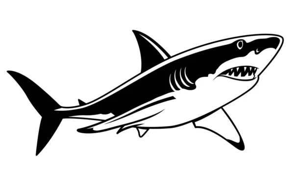 Grand Requin Blanc Nageant Dessin Requin Vecteur Noir Chasse Proie — Image vectorielle