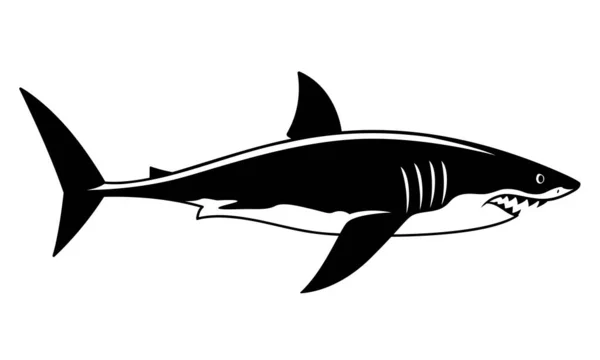 Dessin Requin Noir Blanc Vecteur — Image vectorielle